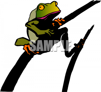 Amphibians Clipart