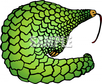 Lizard Clipart
