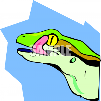 Reptile Clipart