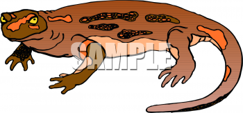 Lizard Clipart