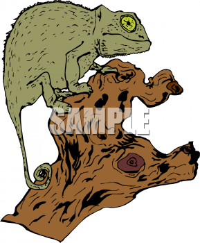 Lizard Clipart