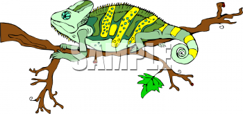 Lizard Clipart