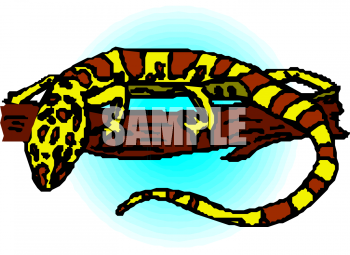 Reptile Clipart