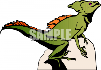 Reptile Clipart