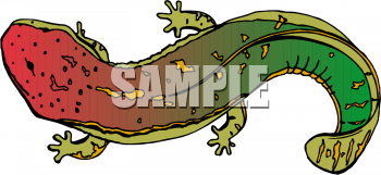 Reptile Clipart