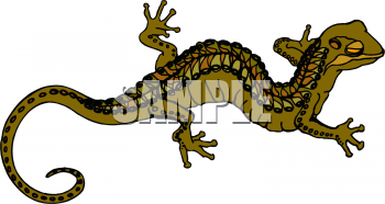 Lizard Clipart