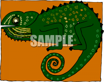 Lizard Clipart