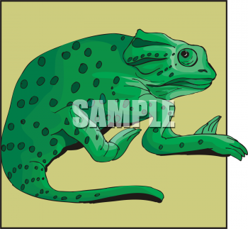 Lizard Clipart