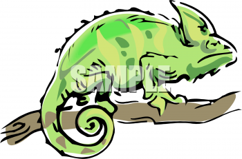 Reptile Clipart