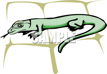 Lizard Clipart