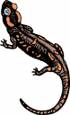 Lizard Clipart