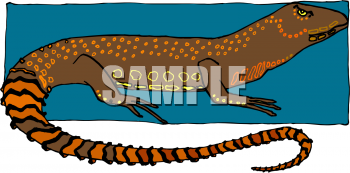Reptile Clipart
