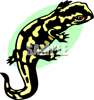 Lizard Clipart