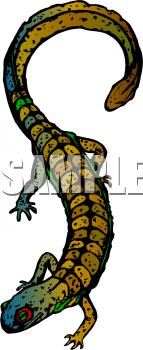 Lizard Clipart