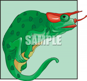 Lizard Clipart