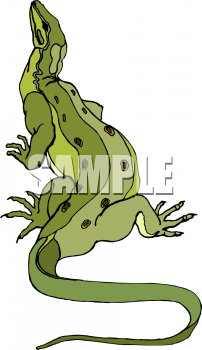 Reptile Clipart
