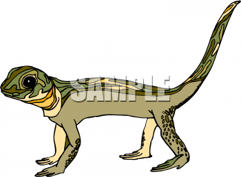 Reptile Clipart