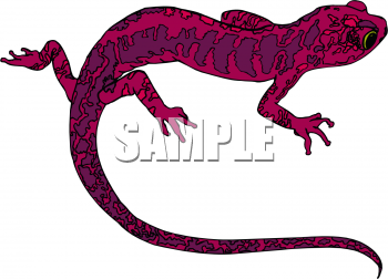 Reptile Clipart