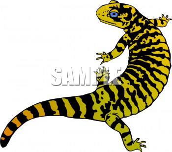 Reptile Clipart