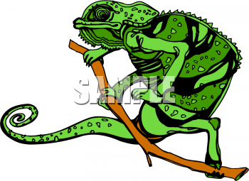 Reptile Clipart