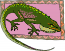 Lizard Clipart