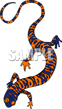Lizard Clipart