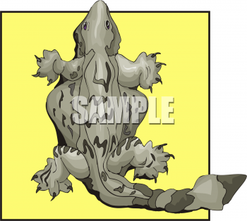 Lizard Clipart