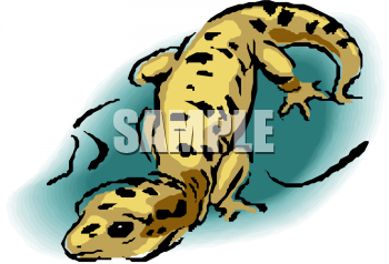 Lizard Clipart