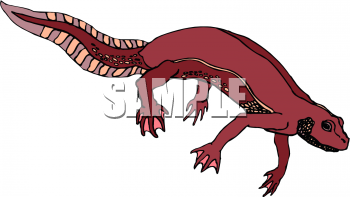 Reptile Clipart