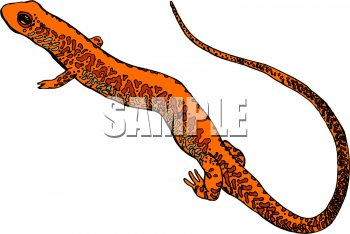 Reptile Clipart