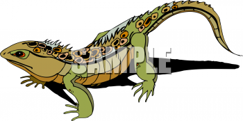 Reptile Clipart
