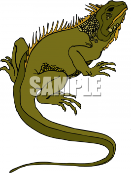 Reptile Clipart