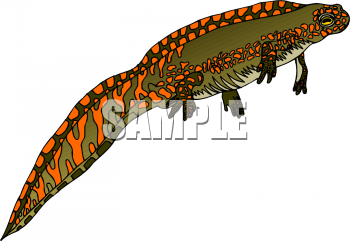 Reptile Clipart