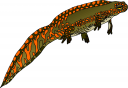 Lizard Clipart