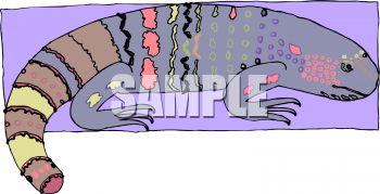 Lizard Clipart