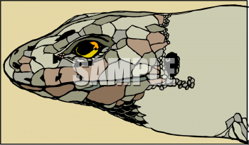 Reptile Clipart