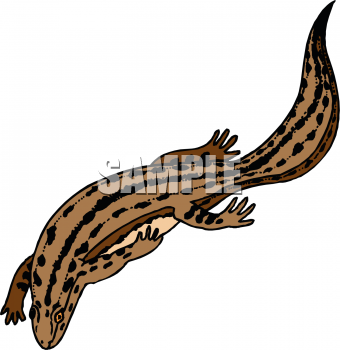Reptile Clipart