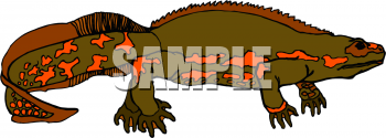 Reptile Clipart