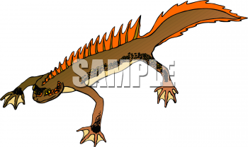 Reptile Clipart