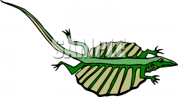 Reptile Clipart