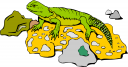 Lizard Clipart