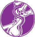 Amphibians Clipart