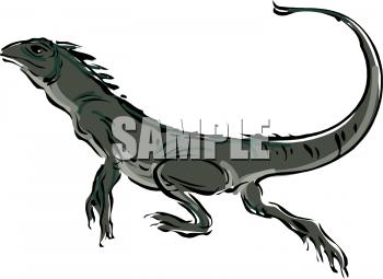 Reptile Clipart