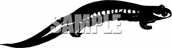 Reptile Clipart