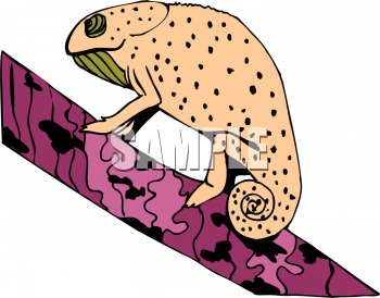 Lizard Clipart