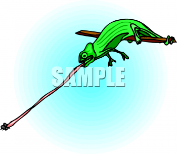 Insect Clipart