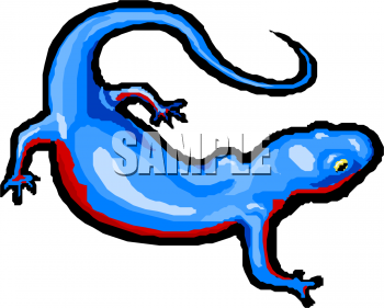 Lizard Clipart