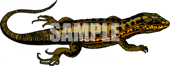 Reptile Clipart