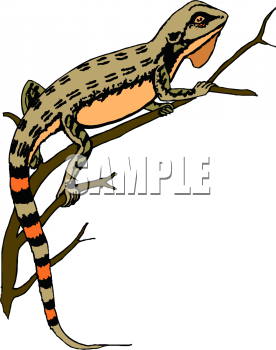 Reptile Clipart
