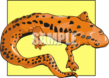 Lizard Clipart